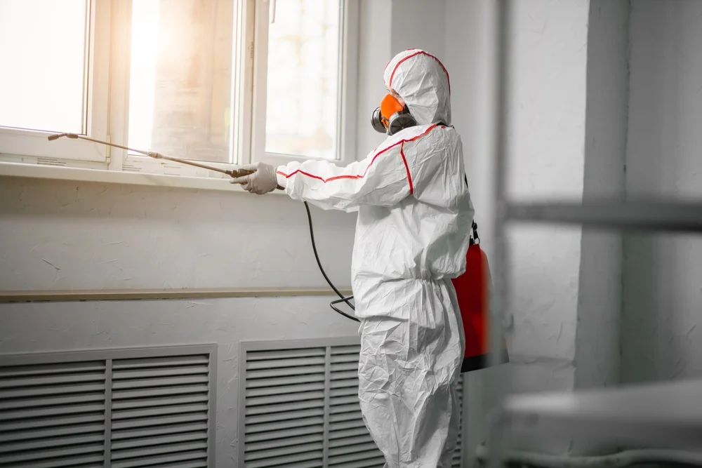 Professional mold remediation services in Random Lake, WI